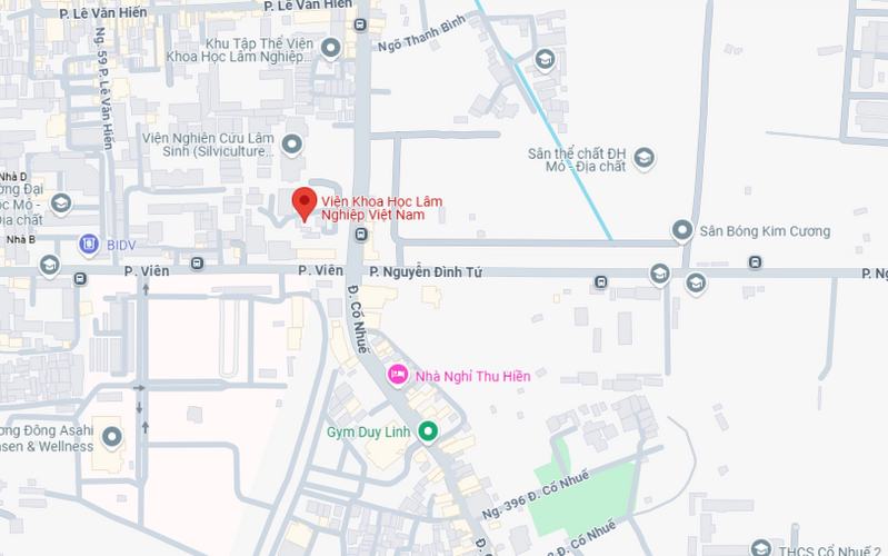 Timber Library Map