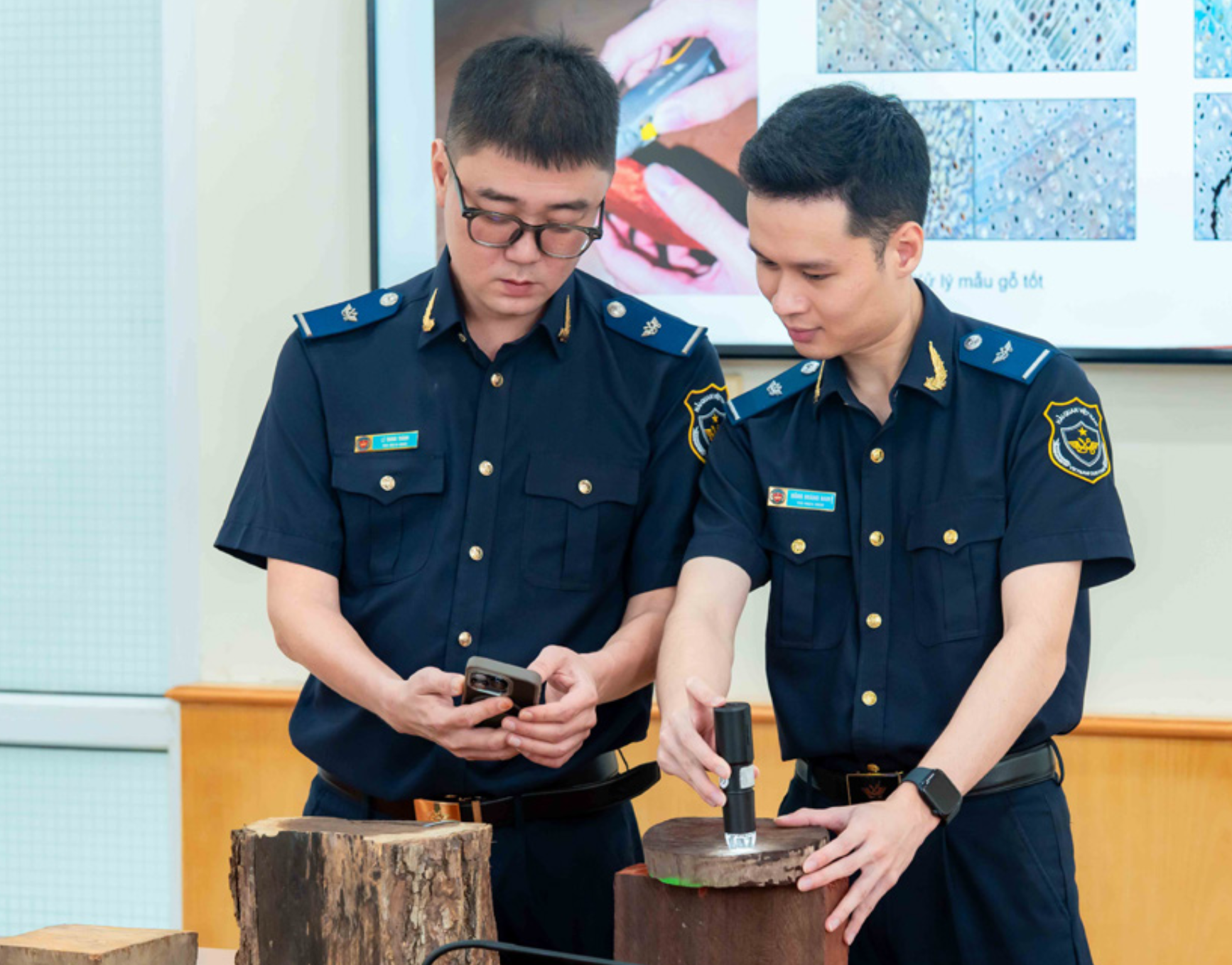 Comprehensive Library 260 species