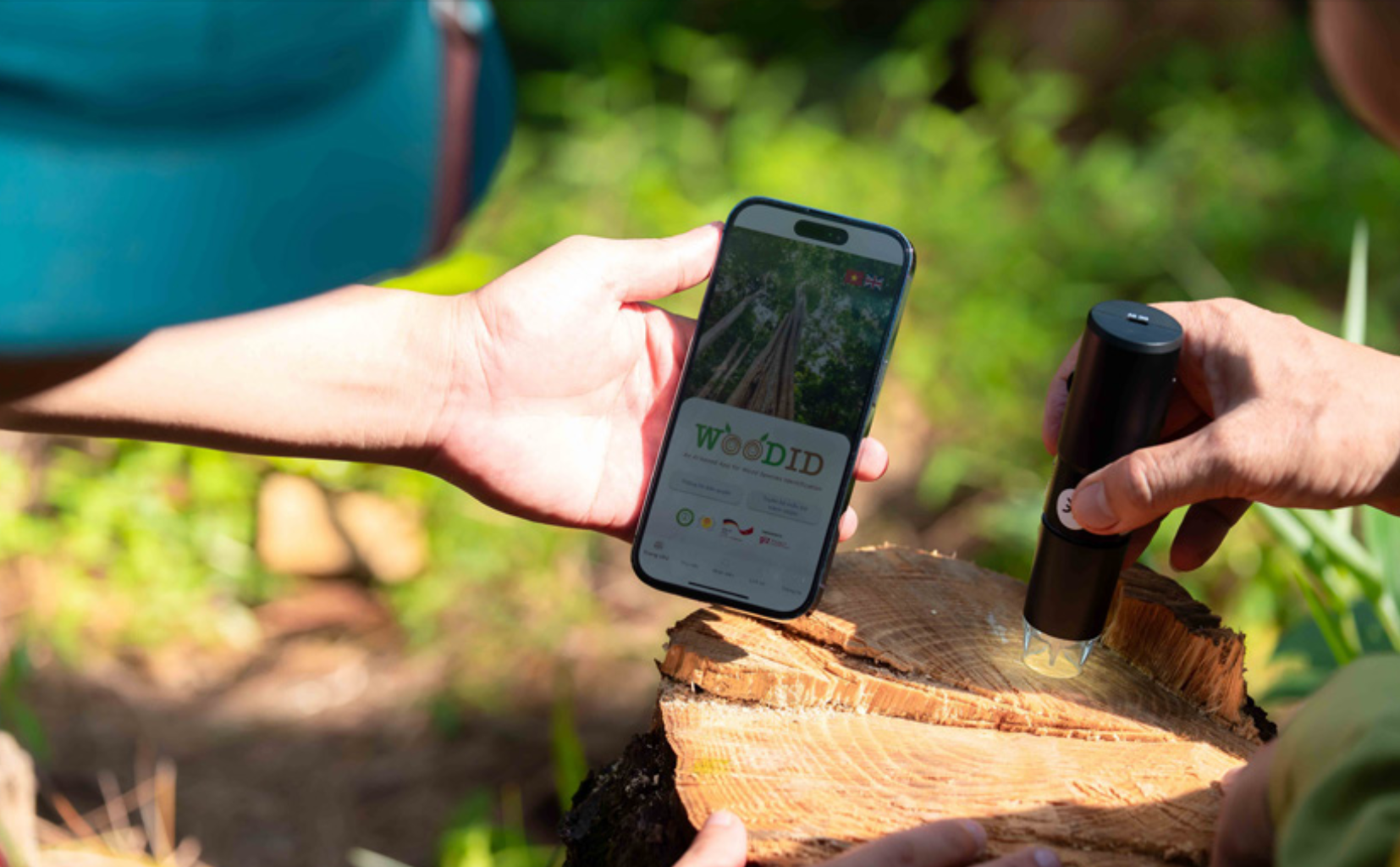 Guide & Anatomy Basics